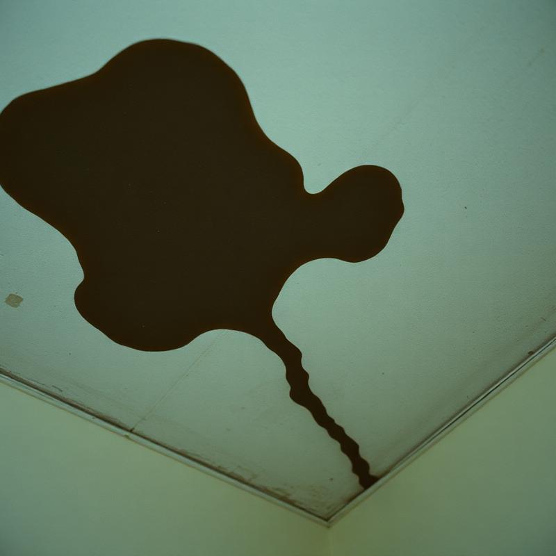 Mould stains spreading across a Singapore bathroom ceiling